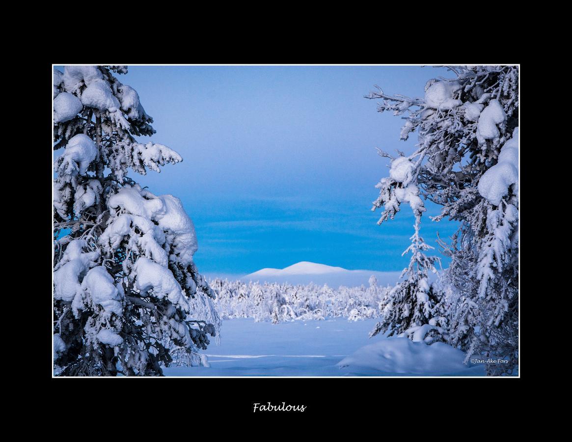 Lannavaara Lodge Dış mekan fotoğraf